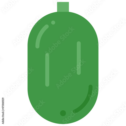 winter melon flat icon