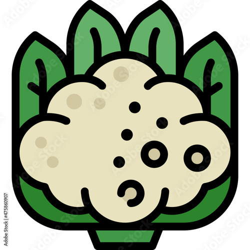 cauliflower filled outline icon