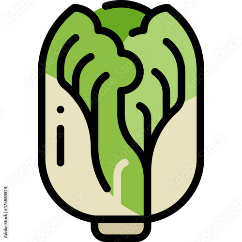 chinese cabbage filled outline icon