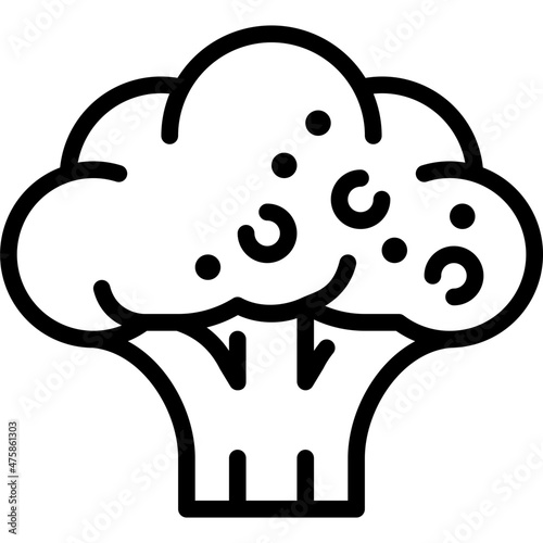 broccoli line icon