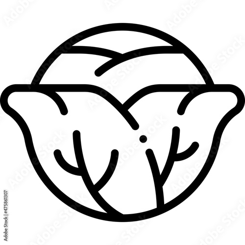 cabbage line icon