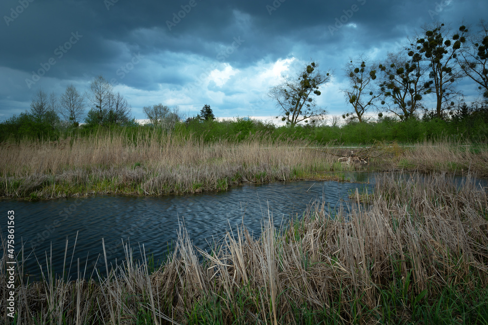 Fototapeta premium Dark clouds over the pond with reeds