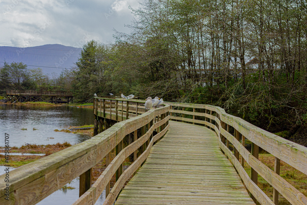 Naklejka premium wooden bridge over the river