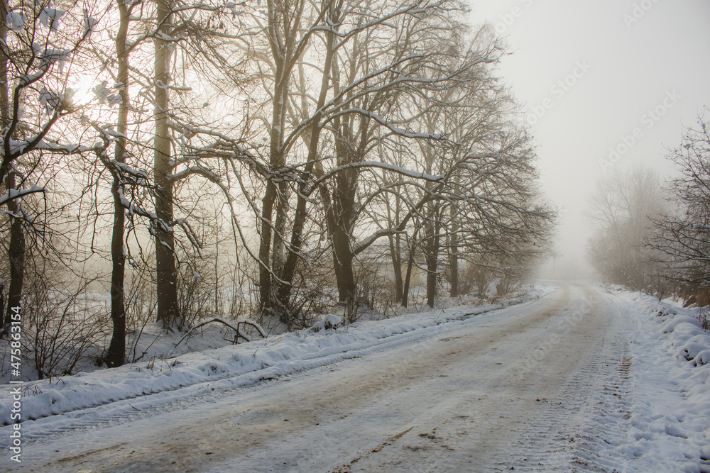 Obraz premium road