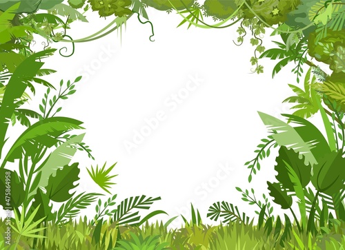 Jungle frame. Green tropical trees, herbs and shrubs. Flat cartoon style. Green exotic landscape. Isolated on white background. In the foreground is a meadow. Vector.