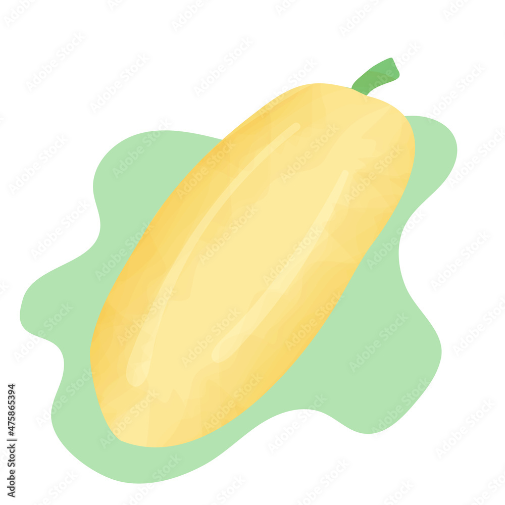Fresh vegetables zucchini isolated on background