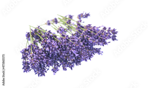 Lavender flowers isolated on white background.  