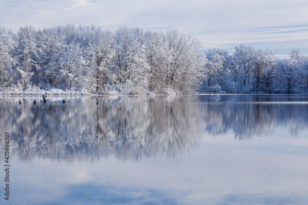 Winter landscape at sunrise of the snow flocked shoreline of Jackson Hole Lake with mirrored reflections in calm water, Fort Custer State Park, Michigan, USA Winter landscape at sunrise of the snow flocked shoreline of Jackson Hole Lake with mirrored reflections in calm water, Fort Custer State Park, Michigan, USA