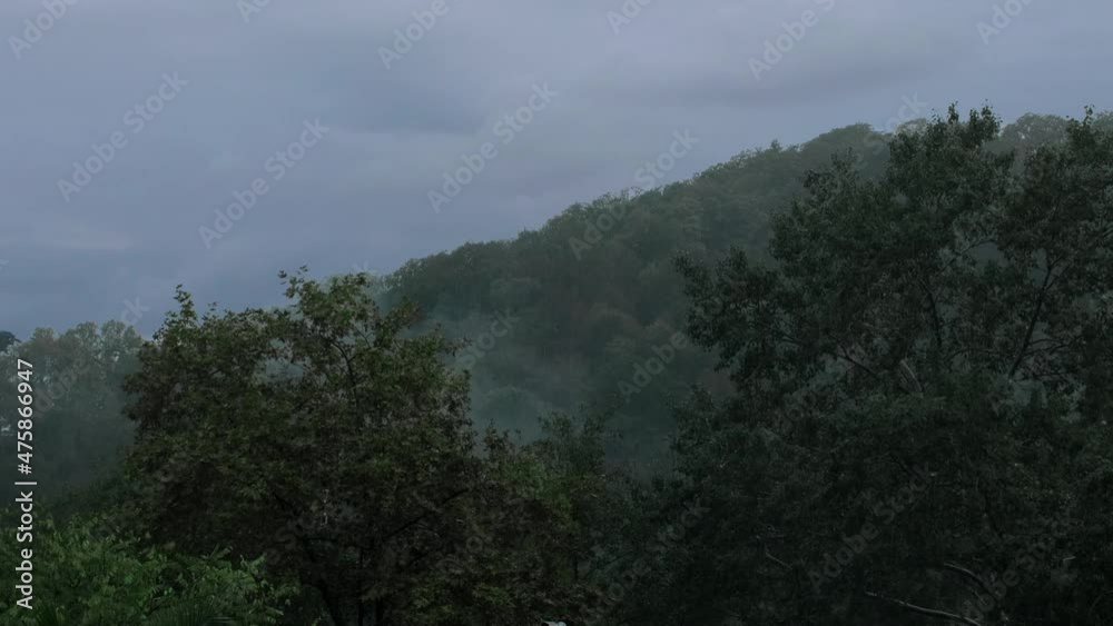 sky, landscape, nature, clouds, mountain, forest, mountains, trees, tree, cloud, green, fog, storm, view, hill, travel, sea, smoke, time lapse, day, summer, morning, high sky, landscape, nature, clouds, mountain, forest, mountains, trees, tree, cloud, green, fog, storm, view, hill, travel, sea, smoke, time lapse, day, summer, morning, high