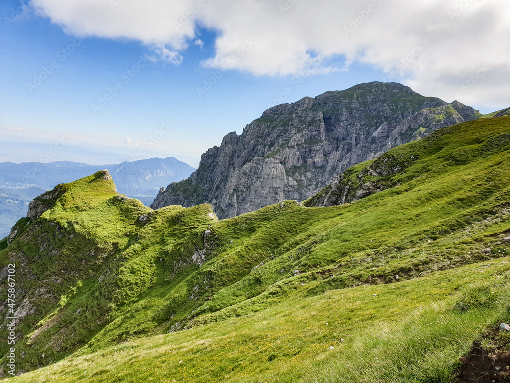 mountain landscape in summer, Bucsoiu Peak, Bucegi Mountains, Romania 