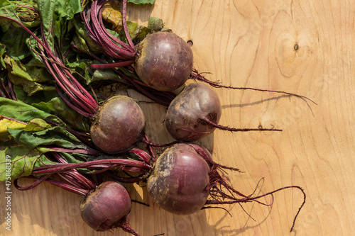 Young beets on a wooden table. Beets from the garden.