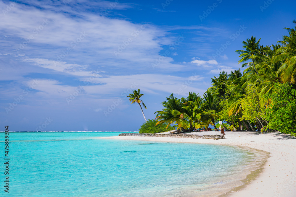 A paradise beach, an island with turquoise water and beautiful exotic flora - Maldives
