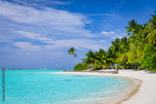 Fototapeta Naklejka Na Ścianę i Meble -  A paradise beach, an island with turquoise water and beautiful exotic flora - Maldives