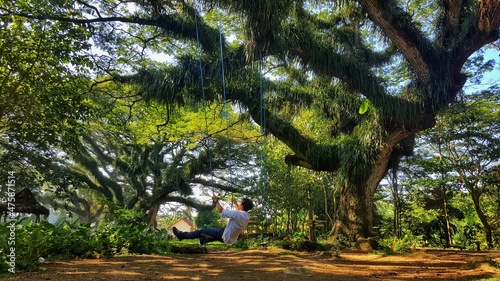 Jawatan Benculuk in Banyuwangi, East Java, Indonesia is a forest area that looks exactly like fantasy forest in fairy tales. Here, the tree can grow bigger and taller than 10 meters. photo