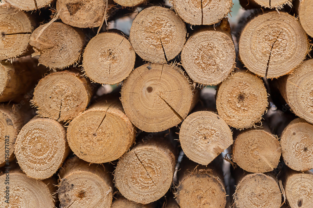 Pile of wood logs storage for industry. Wall of stacked wood logs as background. a pile of natural wooden logs background. Pile of wood logs storage for industry. Wall of stacked wood logs as background. a pile of natural wooden logs background.