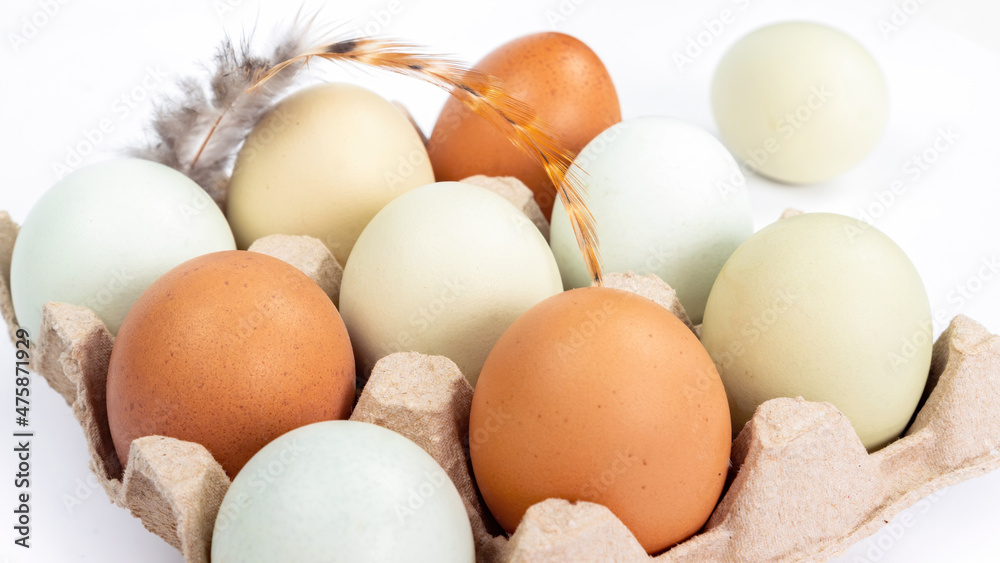 Organic farm chicken eggs in a cardboard box close-up on white background. Colored eggs lie in a packaging with cells with a bird feather. Organic farm food concept. Organic farm chicken eggs in a cardboard box close-up on white background. Colored eggs lie in a packaging with cells with a bird feather. Organic farm food concept.