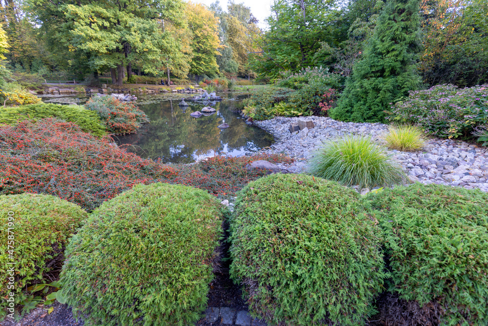 Japanese Garden in  Szczytnicki Park, exotic plants, Wroclaw, Poland. - obrazy, fototapety, plakaty 
