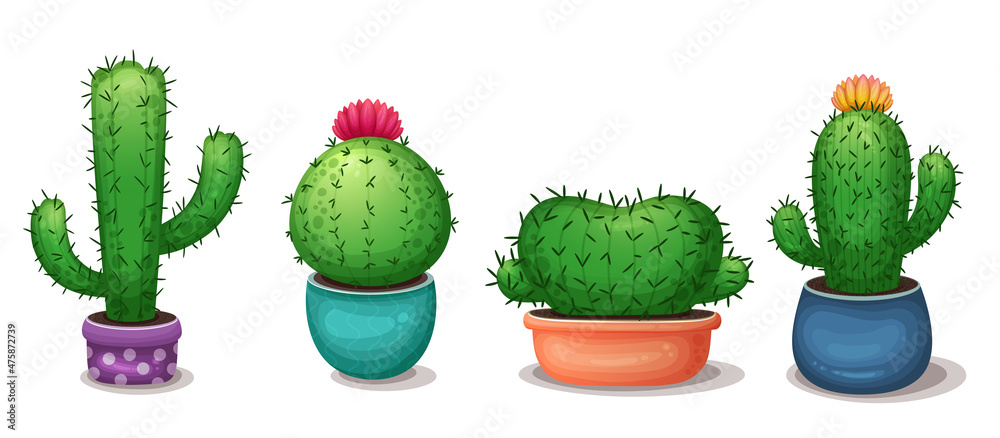 Сactus in flowerpot. Set of сartoon cactus with flowers. Cute succulent collection of exotic plants isolated on a white background. Cartoon succulents in pot. Cactus icons pack. Mexican plant, desert Сactus in flowerpot. Set of сartoon cactus with flowers. Cute succulent collection of exotic plants isolated on a white background. Cartoon succulents in pot. Cactus icons pack. Mexican plant, desert
