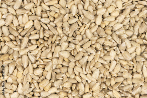 Peeled sunflower seeds background texture