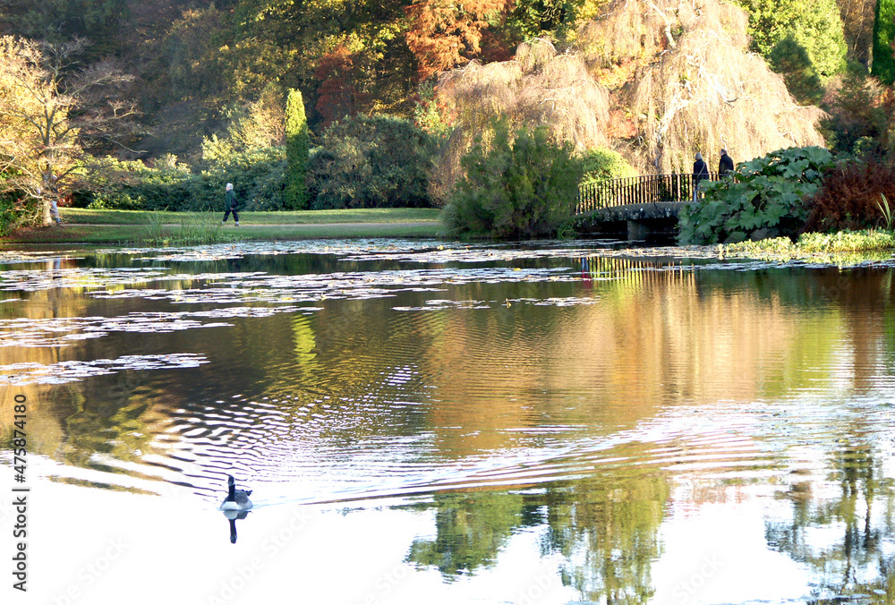 Fototapeta premium KONICA MINOLTA DIGITAL CAMERA