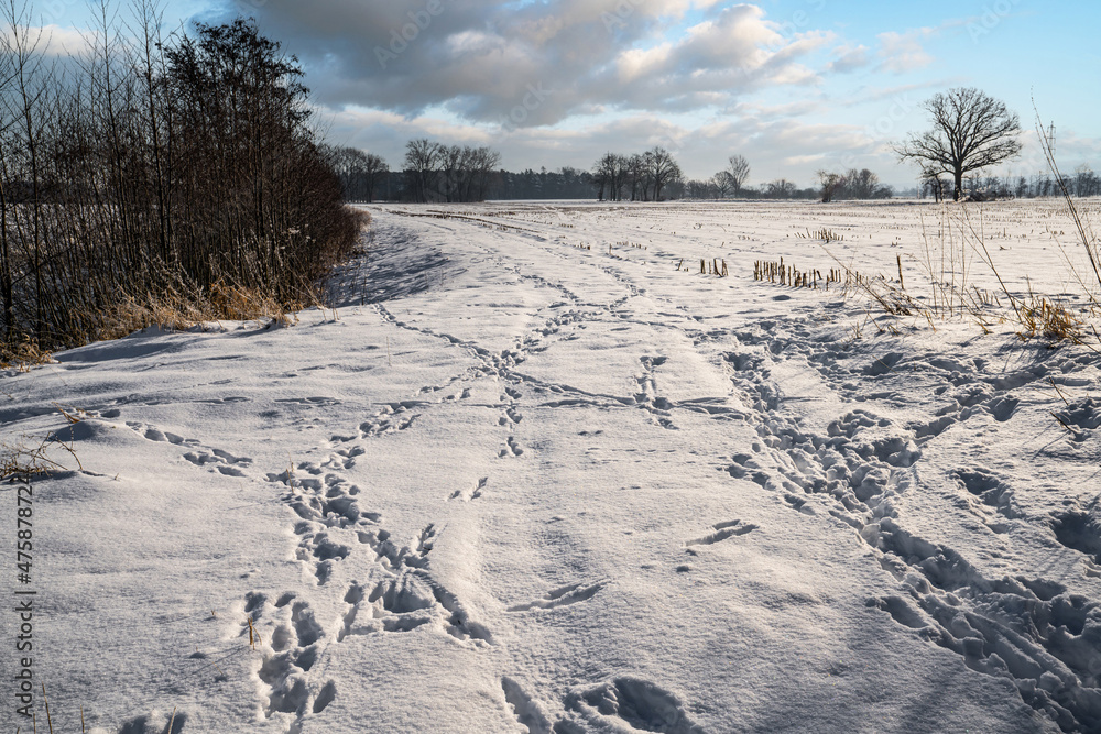 Winterlandschaft - Spuren im Schnee