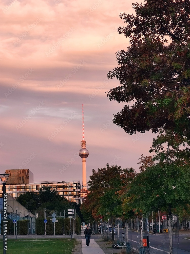 Fototapeta premium Alex in a sunset