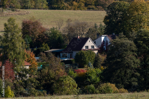 small houses sunk among colorful trees