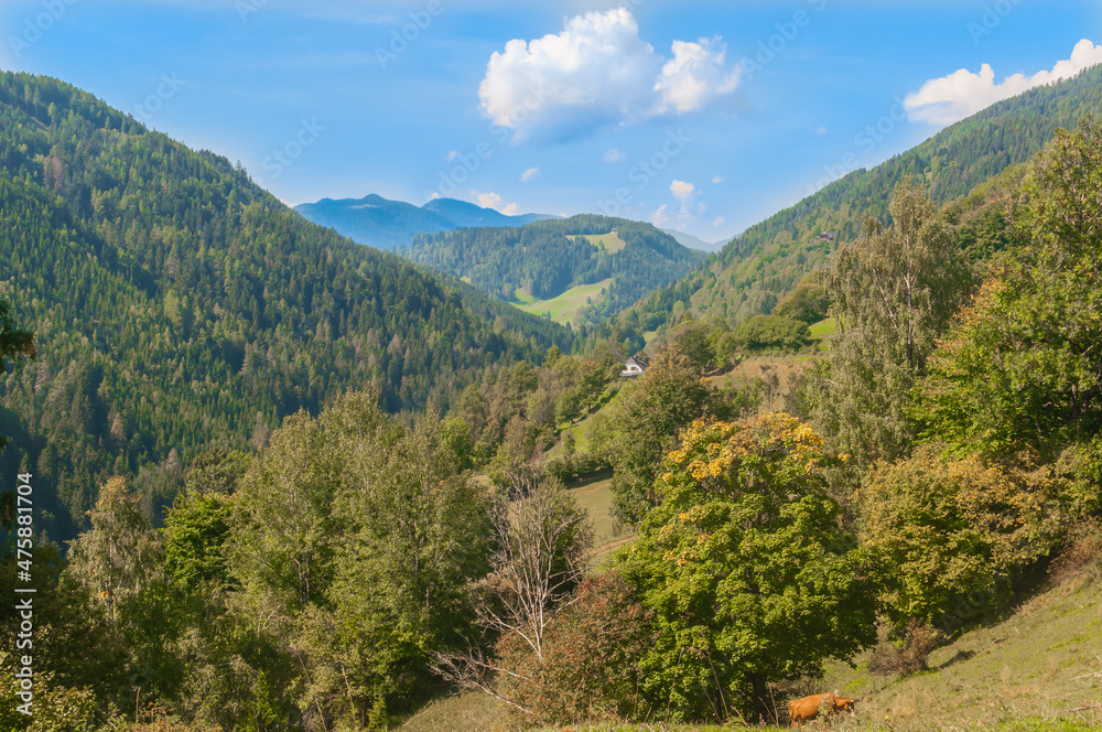 Blick in ein Tal der Steiermark an einem sonnigen Herbsttag mit schönen Wolken