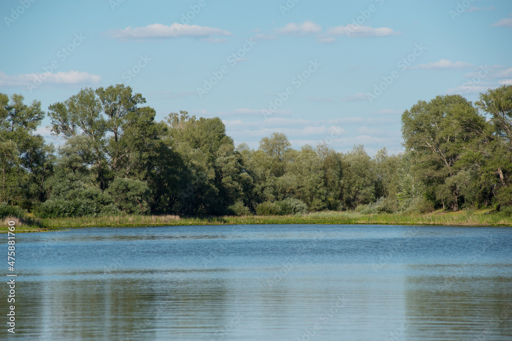summer, lake before sunset with wooded shores summer, lake before sunset with wooded shores