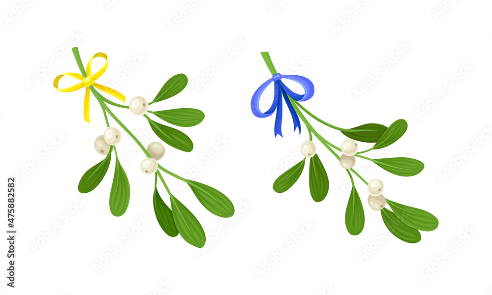 Snowberry branches with ripe berries decorated with yellow and blue bows set. Small twigs of shrub with white fruit vector illustration