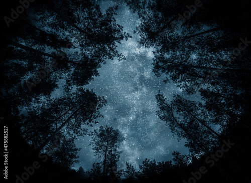 Fototapeta Naklejka Na Ścianę i Meble -  View of the stars and the Milky Way against the backdrop of the forest. Night starry sky over the forest.  Elements of this image furnished by NASA.