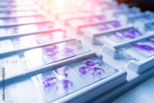 Rows of microscope glass slide in the cells photo