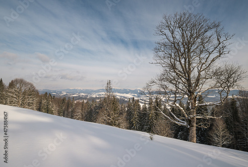 Winter remote alpine mountain village outskirts, countryside hills, groves and farmlands. photo