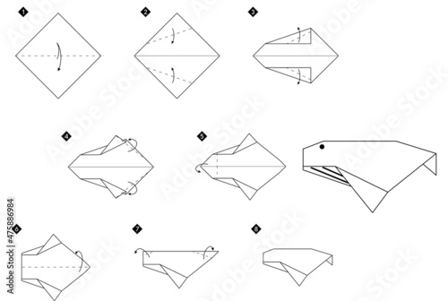 Step by step instructions how to make origami whale. Simple monochrome black line DIY tutorial isolated on white.