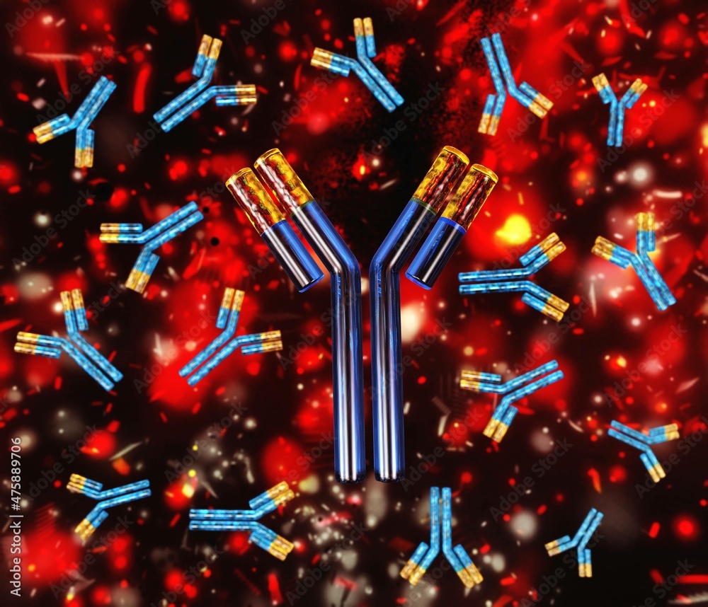 Antibodies, blood plasma globular proteins, background antibodies
