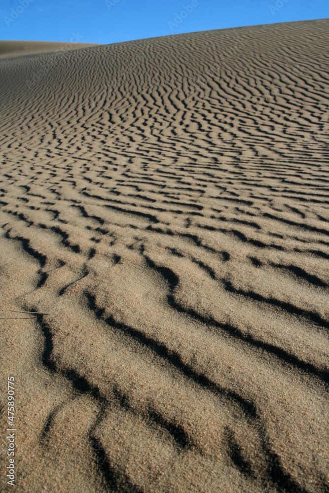 Obraz premium Beautiful dune sand textures as wind blows the sand across with a beautiful blue sky