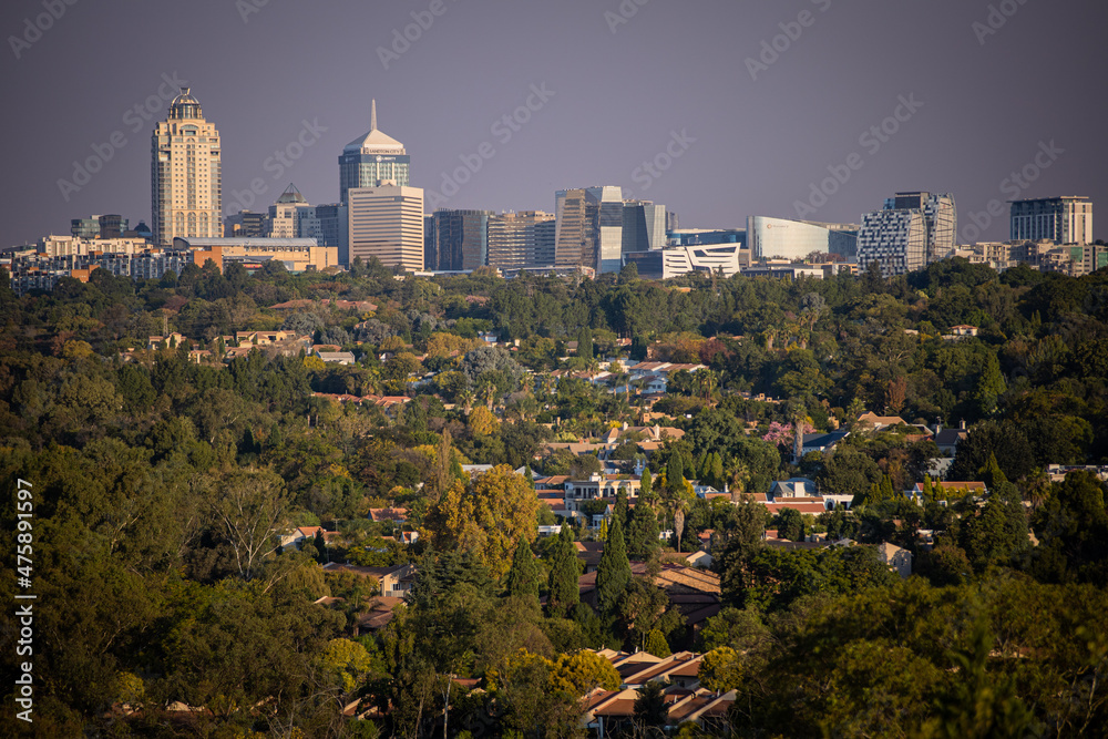 Fototapeta premium Sandton city forest, South Africa