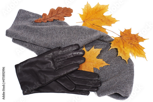 Gray neckscarf and gloves with yellow maple and oak leaves on white background, isolted