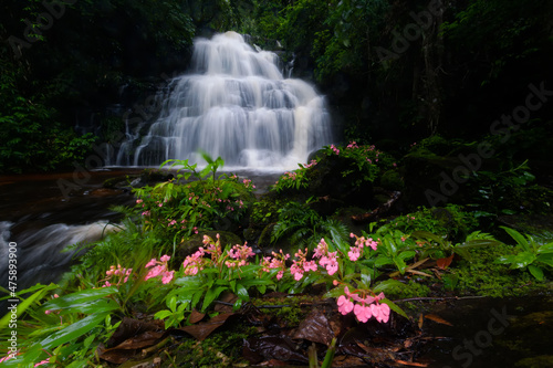 Waterfall in the deep national forest in Thailand