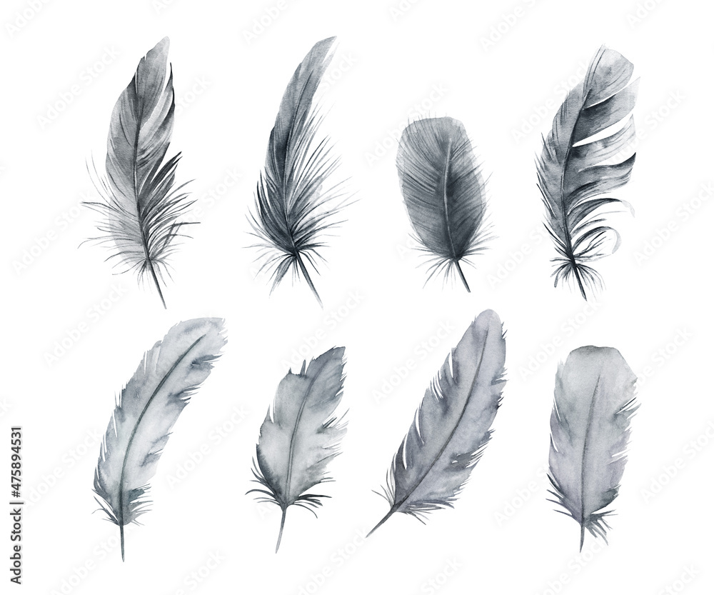 Watercolor feathers set. Hand drawn isolated illustration on white background Watercolor feathers set. Hand drawn isolated illustration on white background