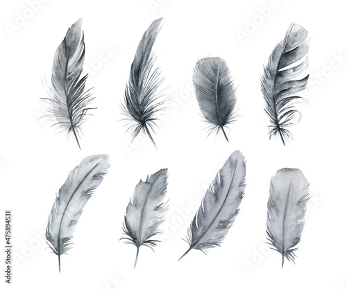Watercolor feathers set. Hand drawn isolated illustration on white background