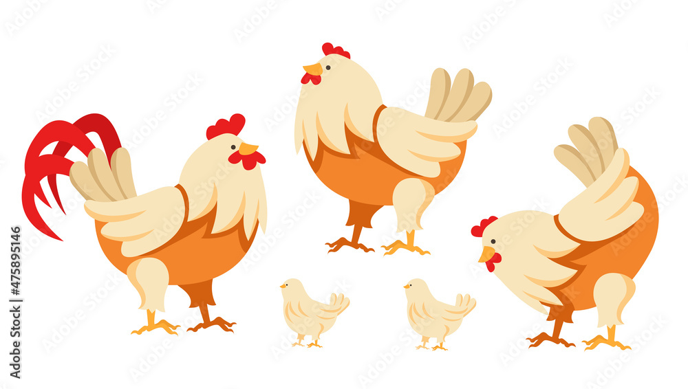Farm chicken bird family nest concept illustration. Vector flat cartoon graphic design isolated set Farm chicken bird family nest concept illustration. Vector flat cartoon graphic design isolated set
