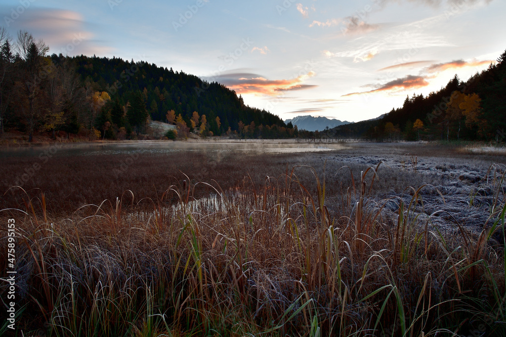 Autumn morning in the peat bog.
Picture of the peat bog in Piangembro in a freezing autumn morning.