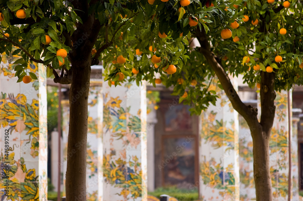 Ταπετσαρία Oranges inside cloister of St. Chiara in Naples