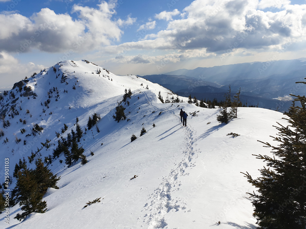 Hikers on the Zaganu Ridge, Ciucas Mountains, Romania 
