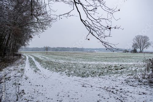 Winterlandschaft in Brandenburg