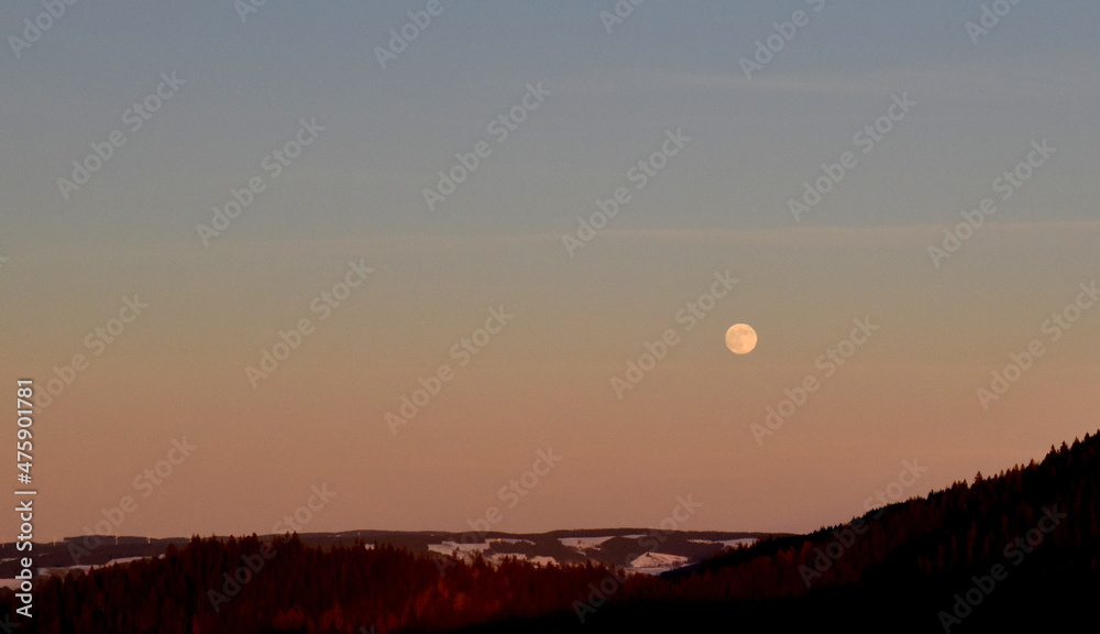 Fototapeta premium Vollmond über dem Schwarzwald im Winter