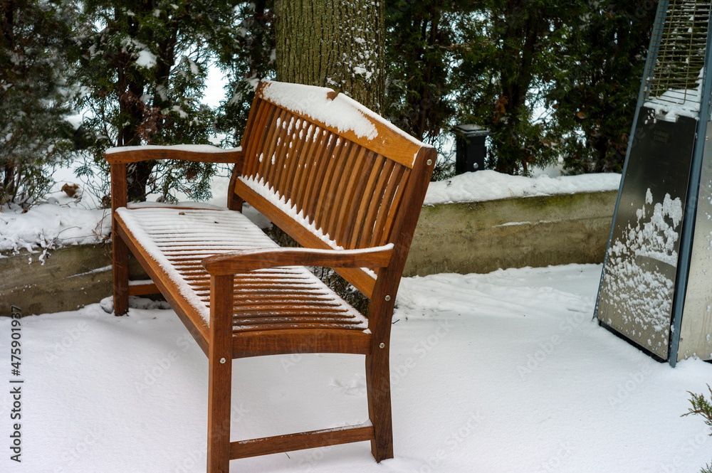 bench in a winter garden bench in a winter garden