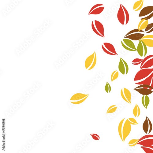 Falling autumn leaves. Red, yellow, green, brown c