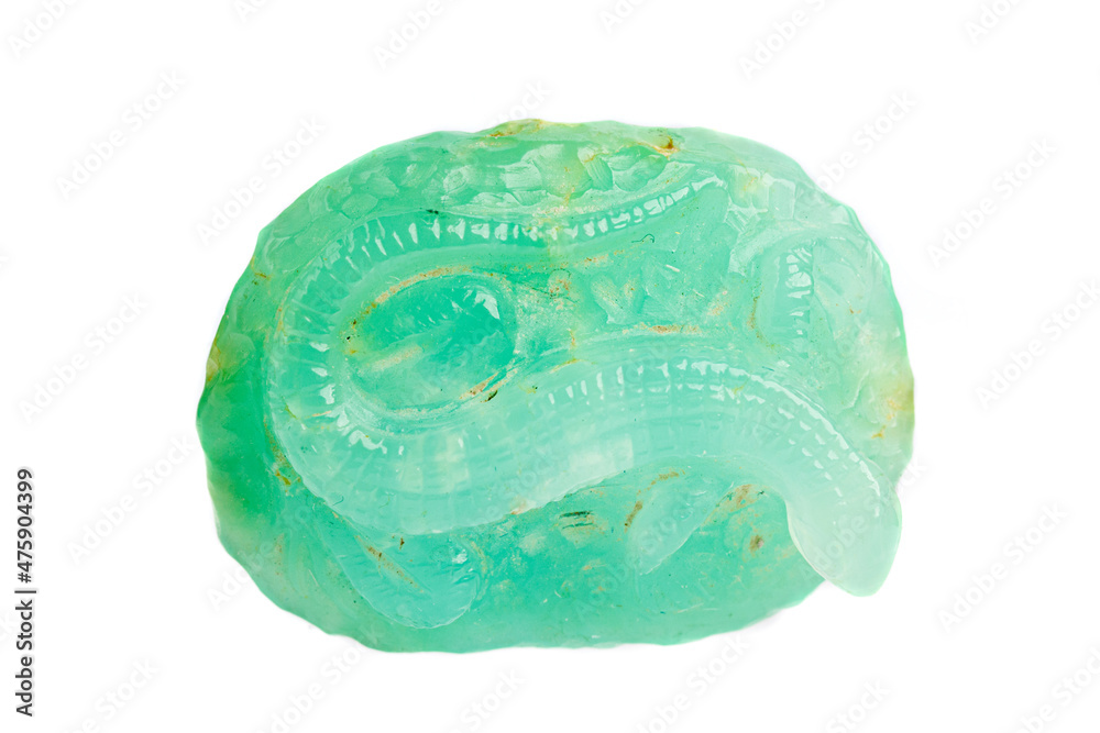 Fototapeta premium macro stone mineral lizard from Chrysoprase on a white background